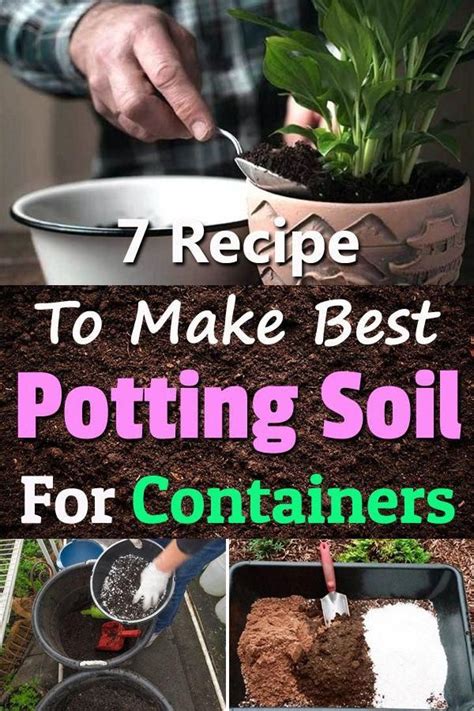 Growing Potions: Using Witchcraft Potting Compost to Cultivate Magical Herbs